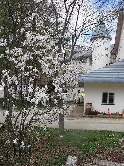 Grindelwald Hotel Juzava Kültér fotó